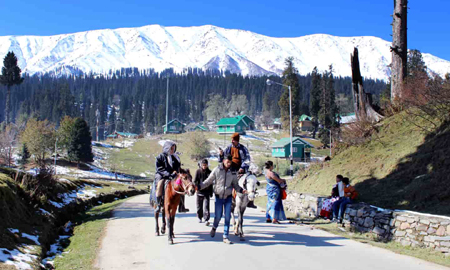 Taxi Agents in Jammu